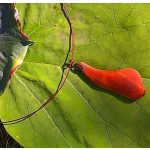 Környezetbarát, újrahasznosított fa, uszadékfa, medál, nyaklánc, rozsdamentes, környezettudatos ékszer