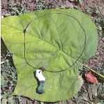 Fa nyaklánc, környezetbarát, újrahasznosított fa, uszadékfa, medál, nyaklánc, rozsdamentes, környezettudatos ékszer